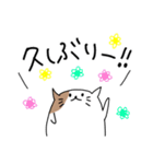 ねこの日常LINEスタンプ（個別スタンプ：17）