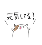 ねこの日常LINEスタンプ（個別スタンプ：18）