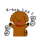 トイプードルのえーちゃん（個別スタンプ：3）