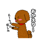 トイプードルのえーちゃん（個別スタンプ：6）