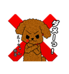 トイプードルのえーちゃん（個別スタンプ：8）