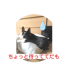 うちの さぶ！❷（個別スタンプ：3）