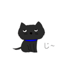 たぶんかわいい黒い猫くん（個別スタンプ：5）