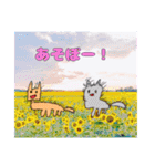 日常使いしてください（個別スタンプ：13）