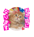 ねこまーち フラワープリンセス（個別スタンプ：3）