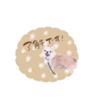♡とも様（個別スタンプ：1）