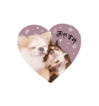 ♡とも様（個別スタンプ：2）