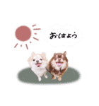 ♡とも様（個別スタンプ：3）