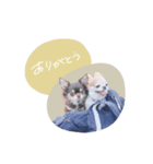 ♡とも様（個別スタンプ：8）