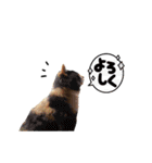 まさごろうの王国．（個別スタンプ：11）