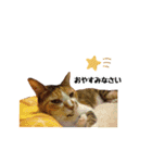 まさごろうの王国．（個別スタンプ：12）
