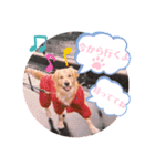 いとしのバロンくん①（個別スタンプ：3）
