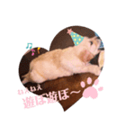 いとしのバロンくん①（個別スタンプ：8）