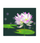 夏の花 水彩画風（個別スタンプ：7）