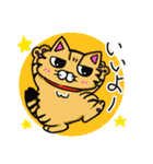 キジトラとしろねこちゃん（個別スタンプ：1）