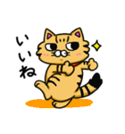 キジトラとしろねこちゃん（個別スタンプ：6）