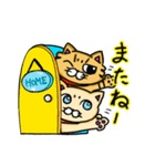 キジトラとしろねこちゃん（個別スタンプ：19）