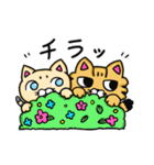 キジトラとしろねこちゃん（個別スタンプ：39）