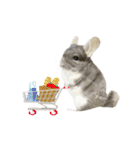 チンチラのむぅちゃん③（個別スタンプ：2）