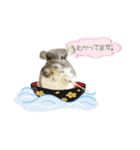 チンチラのむぅちゃん③（個別スタンプ：25）