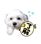 優くんのお家（個別スタンプ：1）