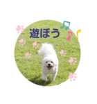 優くんのお家（個別スタンプ：4）