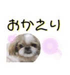 ふぁみ犬♡（個別スタンプ：5）