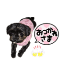 ふぁみ犬♡（個別スタンプ：6）