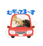 ふぁみ犬♡（個別スタンプ：14）