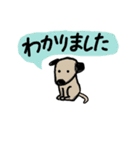 わんこっちB（個別スタンプ：5）