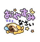 わんわんスタンプ4 犬 プードル（個別スタンプ：3）