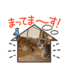 美湖(ミコ)＆琥鉄(コテツ)の日常。（個別スタンプ：31）