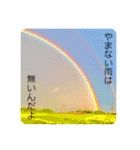 美湖(ミコ)＆琥鉄(コテツ)の日常。（個別スタンプ：32）