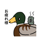 マガモときどき文鳥（個別スタンプ：20）