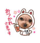 dog ＆家族（個別スタンプ：1）