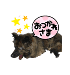 わぐちゃんめぐちゃんのお家（個別スタンプ：3）