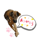 わぐちゃんめぐちゃんのお家（個別スタンプ：7）