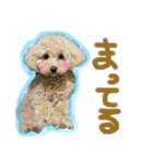 といぷーどるのうりくん（個別スタンプ：1）