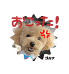 といぷーどるのうりくん（個別スタンプ：2）