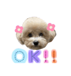 といぷーどるのうりくん（個別スタンプ：8）