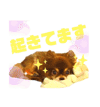 チョコちゃんスタンプ♡*(待合わせ連絡編)（個別スタンプ：4）
