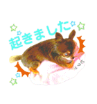 チョコちゃんスタンプ♡*(待合わせ連絡編)（個別スタンプ：7）