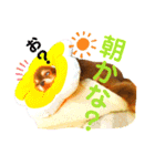 チョコちゃんスタンプ♡*(待合わせ連絡編)（個別スタンプ：8）