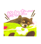 チョコちゃんスタンプ♡*(待合わせ連絡編)（個別スタンプ：13）