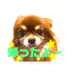 チョコちゃんスタンプ♡*(待合わせ連絡編)（個別スタンプ：16）