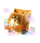 チョコちゃんスタンプ♡*(待合わせ連絡編)（個別スタンプ：18）