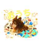 チョコちゃんスタンプ♡*(待合わせ連絡編)（個別スタンプ：21）