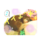 チョコちゃんスタンプ♡*(待合わせ連絡編)（個別スタンプ：30）