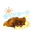 チョコちゃんスタンプ♡*(待合わせ連絡編)（個別スタンプ：33）
