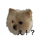 愉快な動物と輩（個別スタンプ：2）